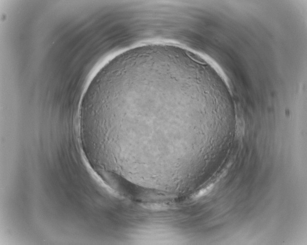 X0000087510911200705111938