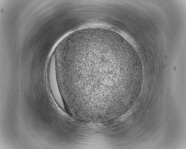 X0000087510912200705111938