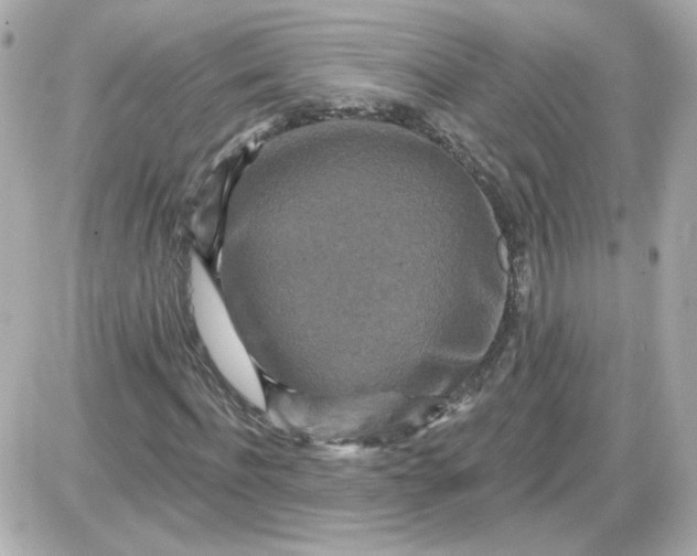 X0000087510916200705111937