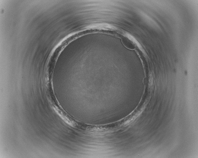 X0000087510923200705111937