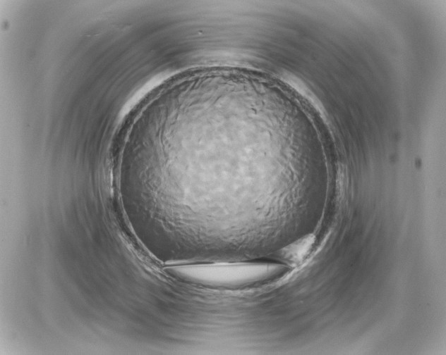 X0000087510925200705111937