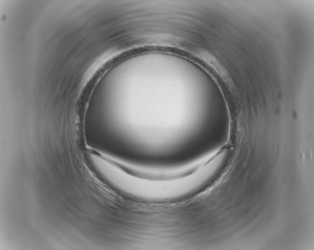 X0000087510926200705111937
