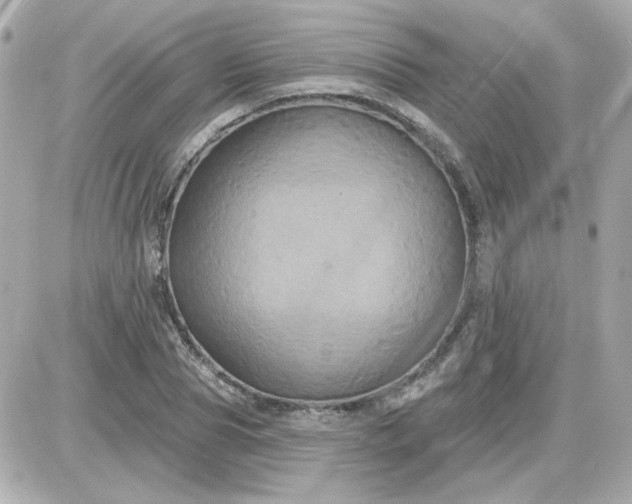 X0000087510929200705111937