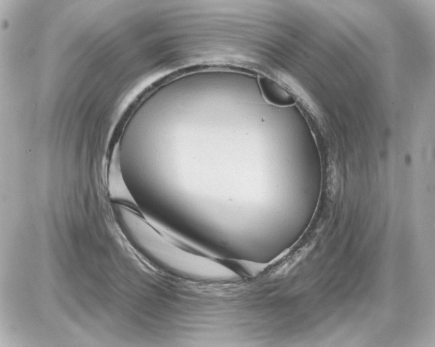 X0000087510932200705111937
