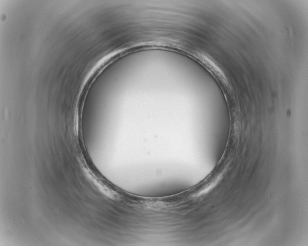 X0000087510940200705111938