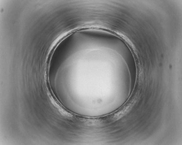 X0000087510941200705111938