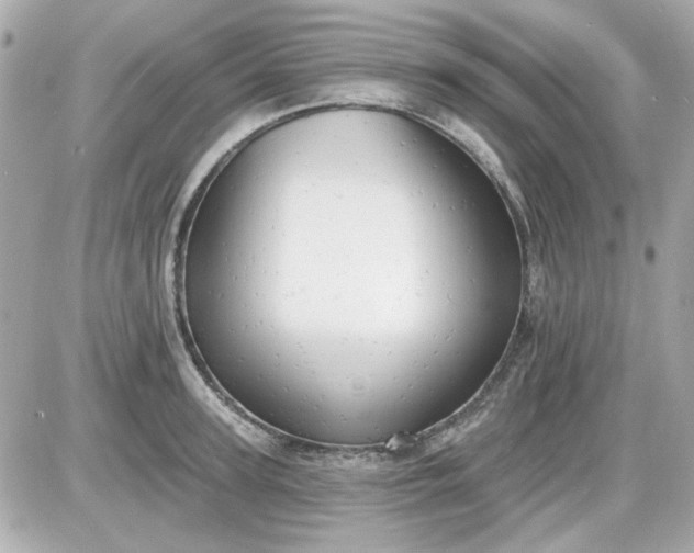 X0000087510947200705111938