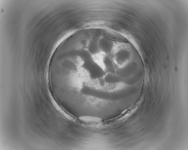 X0000087510957200705111938