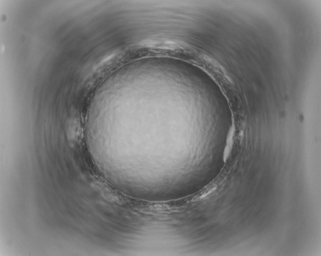 X0000087510966200705111937