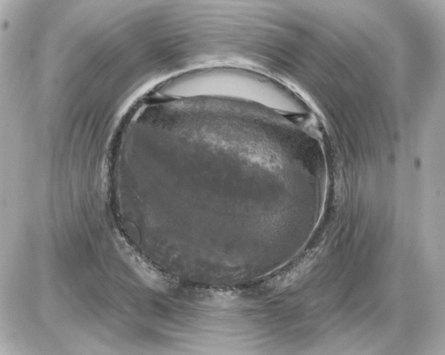 X0000087510975200705111937