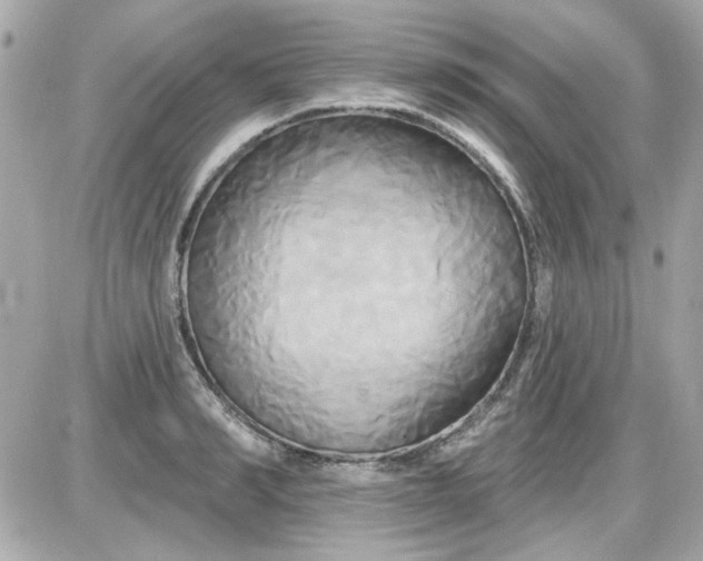 X0000087510990200705111937