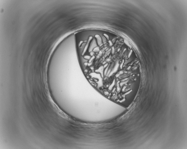 X0000087510996200705111937