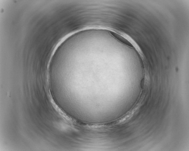 X0000087511004200705111936