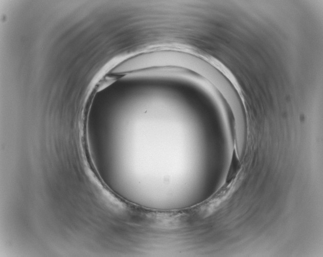 X0000087511005200705111936