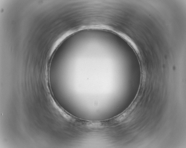 X0000087511006200705111936