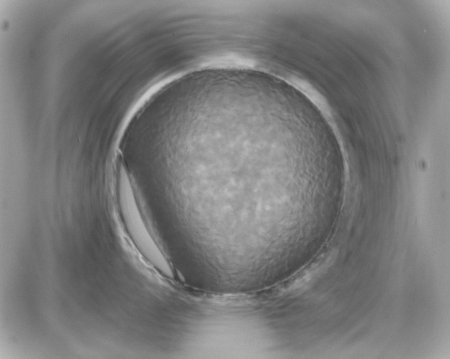X0000087511008200705111936