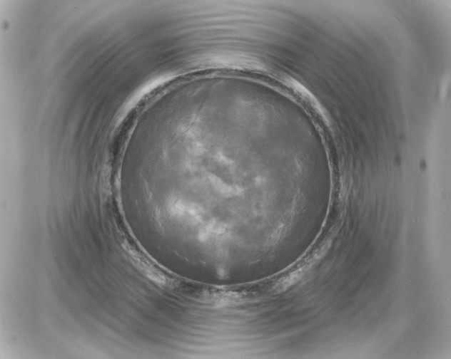 X0000087511019200705111936