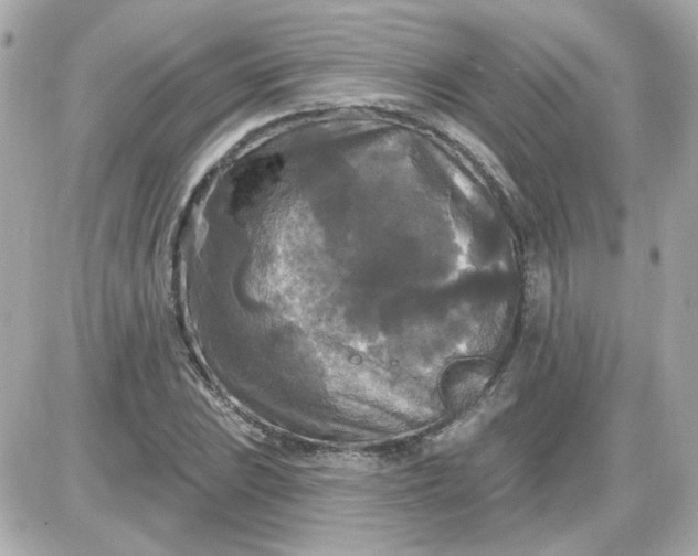 X0000087511023200705111936