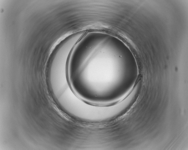 X0000087511026200705111936