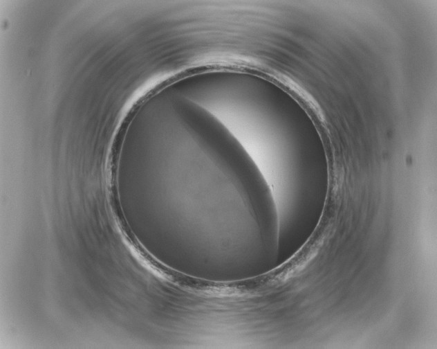 X0000087511037200705111936