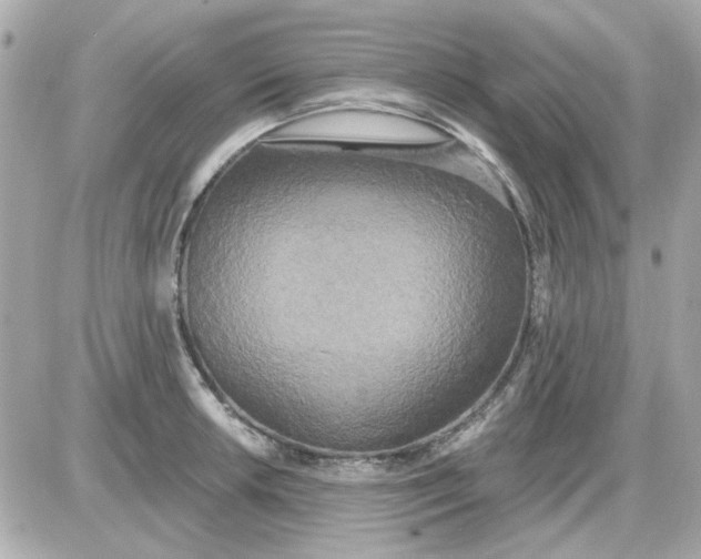 X0000087511042200705111936