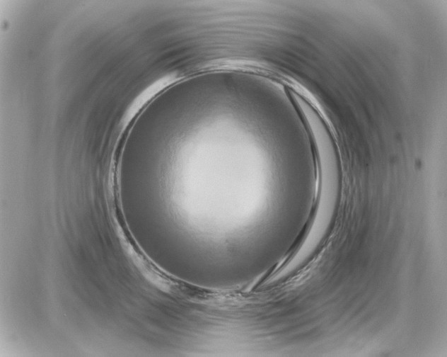 X0000087511050200705111936
