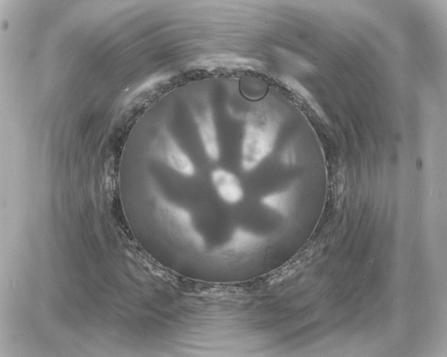 X0000087511063200705111935