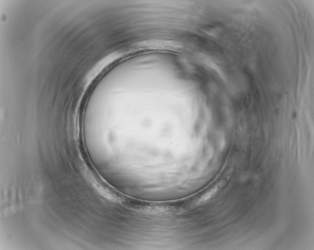 X0000087511082200705111935