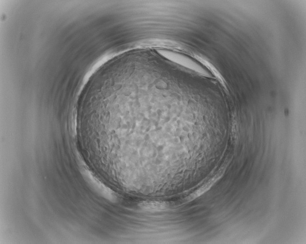 X0000087511083200705111935