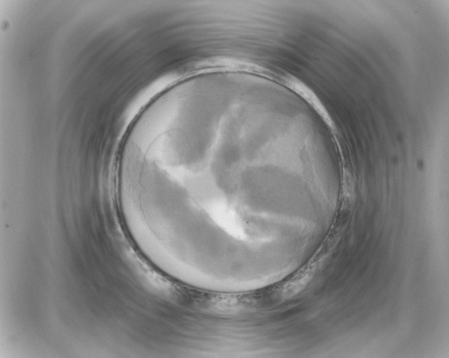 X0000087511098200705111935