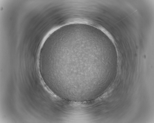 X0000087511104200705111935
