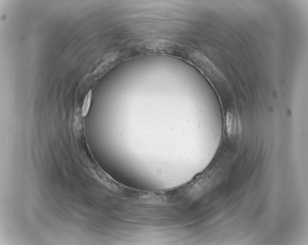 X0000087511107200705111934