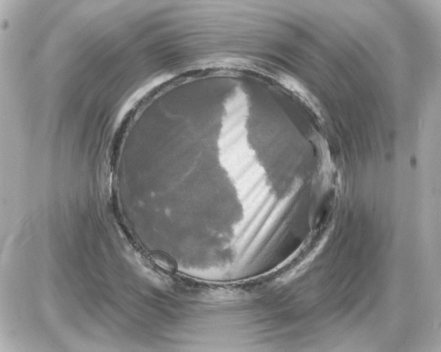 X0000087511117200705111934
