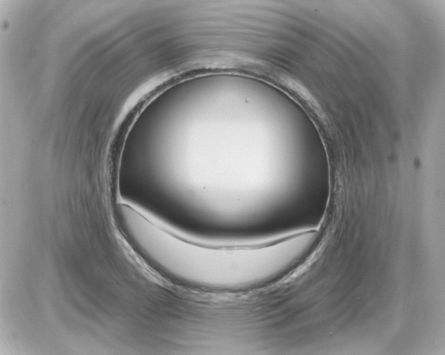 X0000087511122200705111934