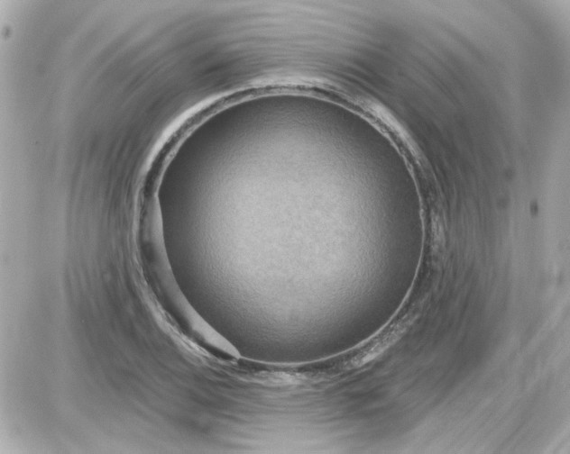 X0000087511124200705111934