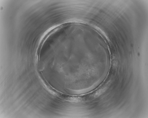 X0000087511125200705111934
