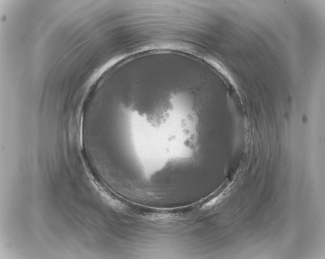 X0000087511127200705111934