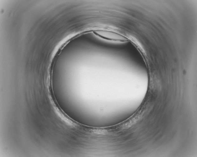 X0000087511136200705111935