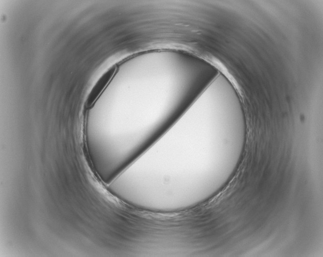 X0000087511140200705111935