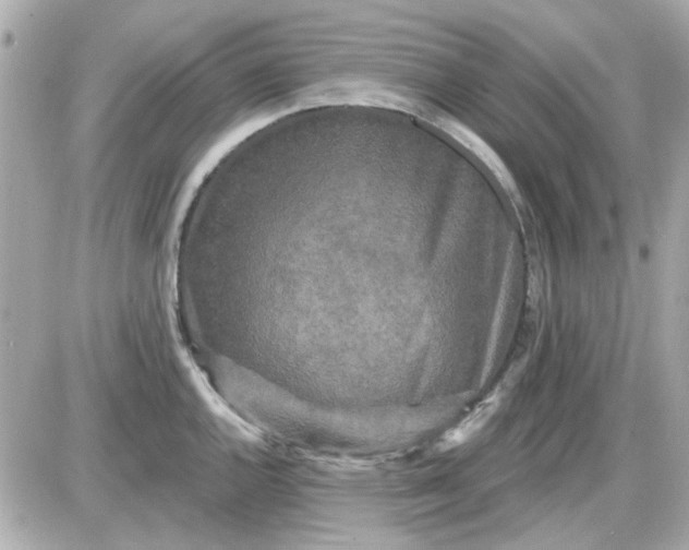 X0000087511144200705111935