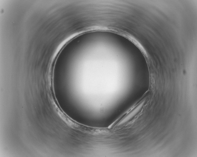 X0000087511148200705111935