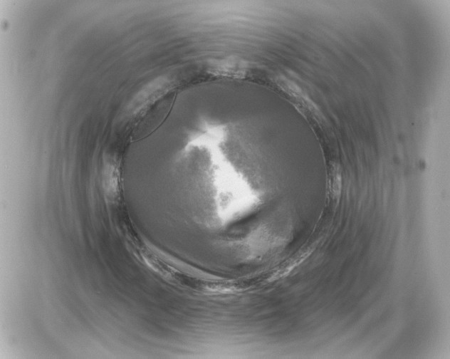 X0000087511154200705111934