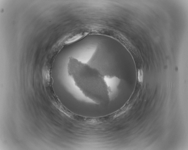X0000087511155200705111934