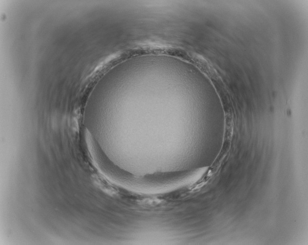 X0000087511157200705111934