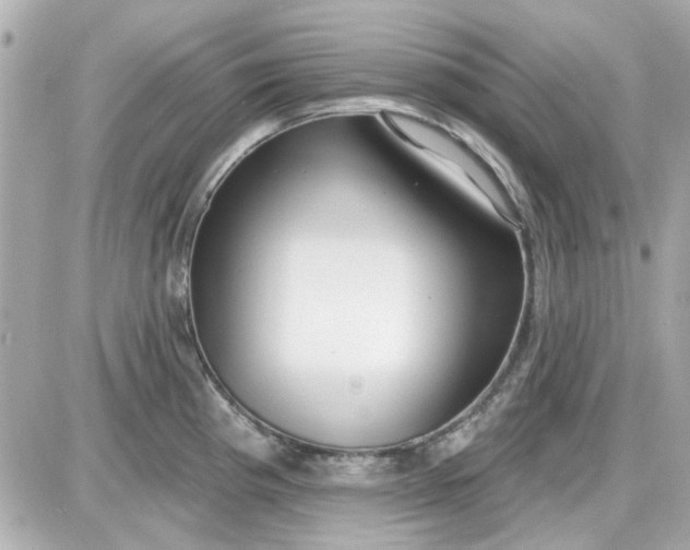 X0000087511193200705111933