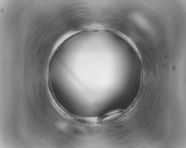 X0000087511195200705111933