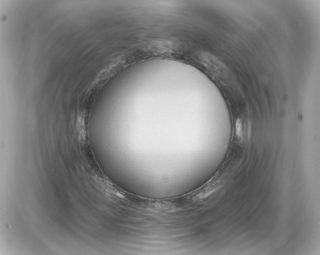 X0000087511203200705111933