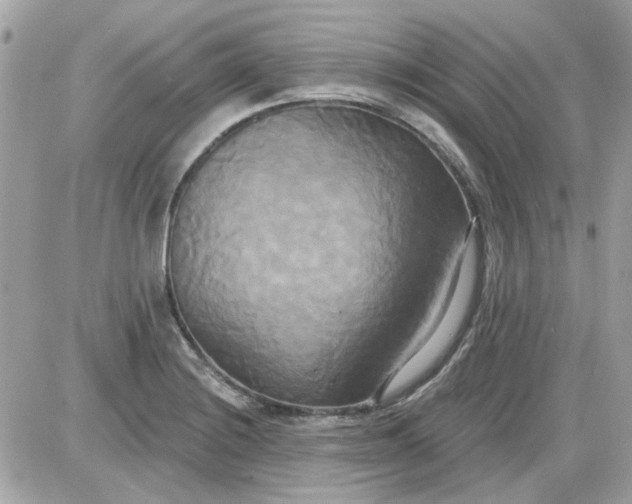 X0000087511228200705111933