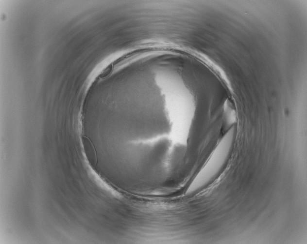 X0000087511239200705111933