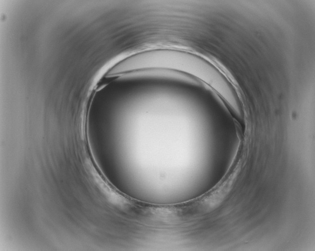 X0000087511246200705111933